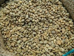 Harrar Green Coffee Beans for sale 