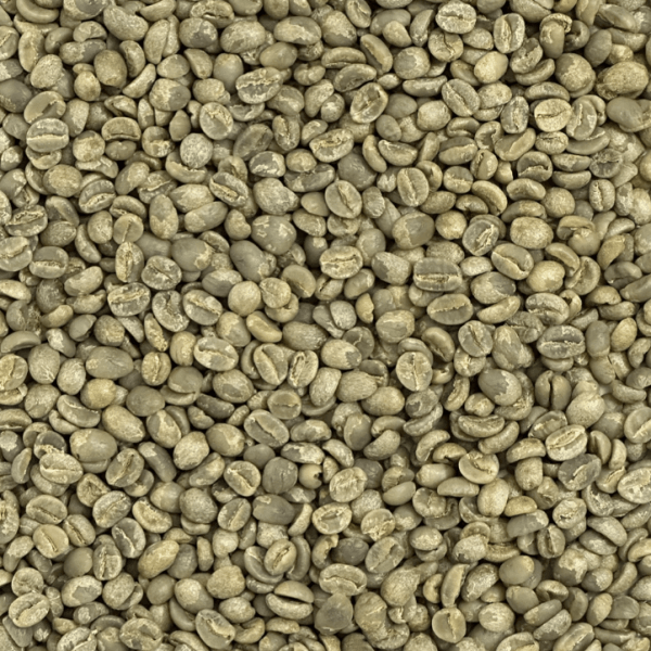 Kenyan Green Robusta Coffee Beans