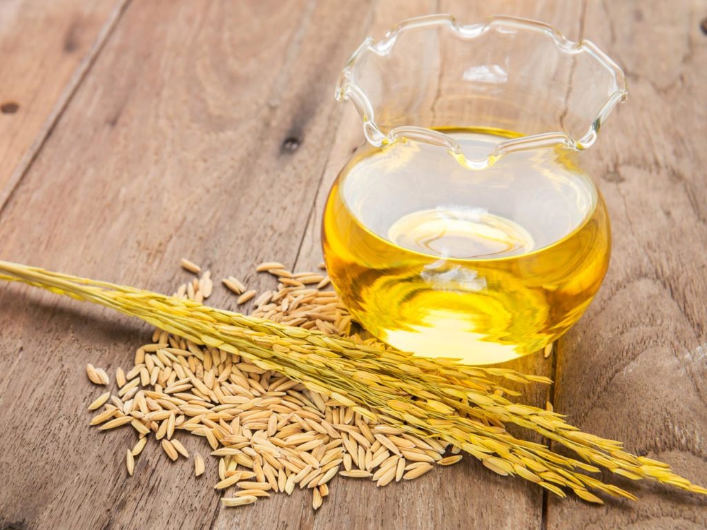 Rice Bran Oil for export — wholesale rice bran oil supplied by Gloogal Market Rice Bran Oil for export — wholesale rice bran oil supplied by Gloogal Market