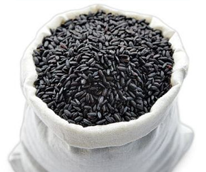 Niger Seeds for export — wholesale niger seeds supplied by Gloogal Market Niger Seeds for export — wholesale niger seeds supplied by Gloogal Market