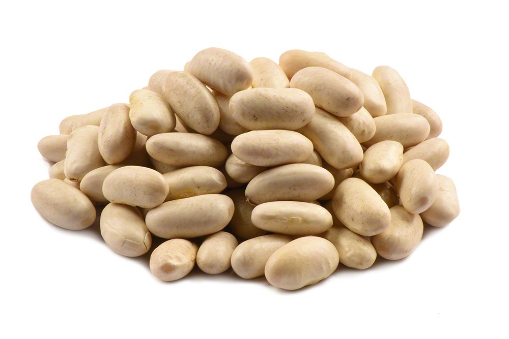 Faba (Horse) Beans for export — wholesale faba (horse) beans supplied by Gloogal Market Faba (Horse) Beans for export — wholesale faba (horse) beans supplied by Gloogal Market