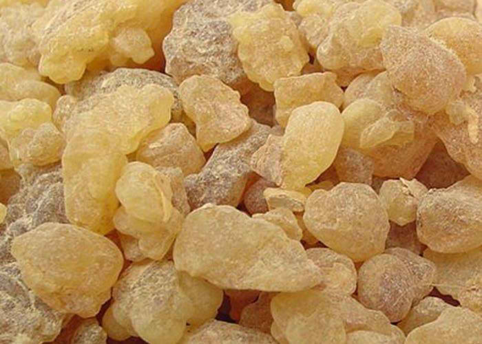 Gum Arabic (Acacia Gum) for export — wholesale gum arabic (acacia gum) supplied by Gloogal Market Gum Arabic (Acacia Gum) for export — wholesale gum arabic (acacia gum) supplied by Gloogal Market