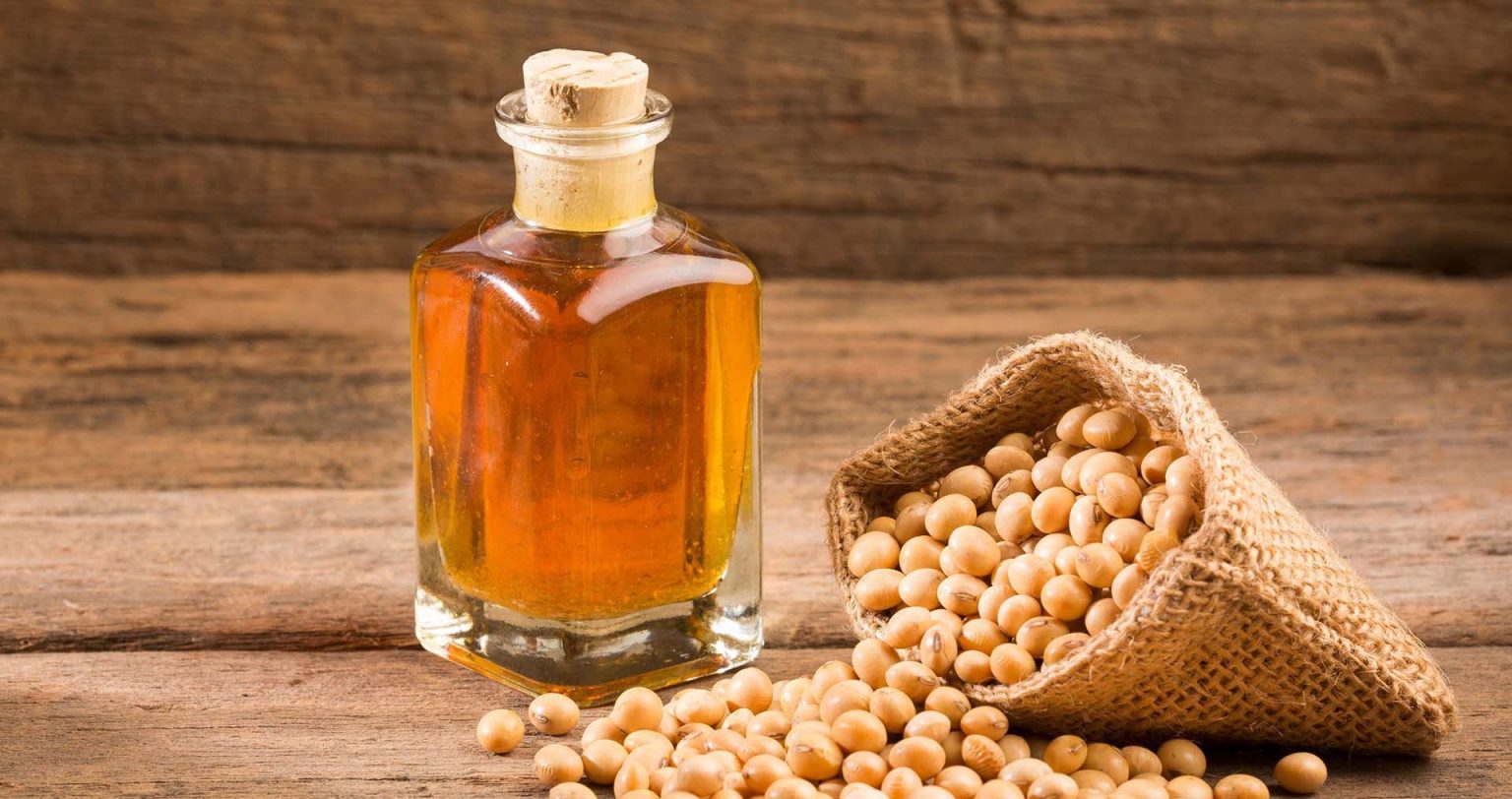 Edible Oils & Fats export products supplied by Gloogal Market