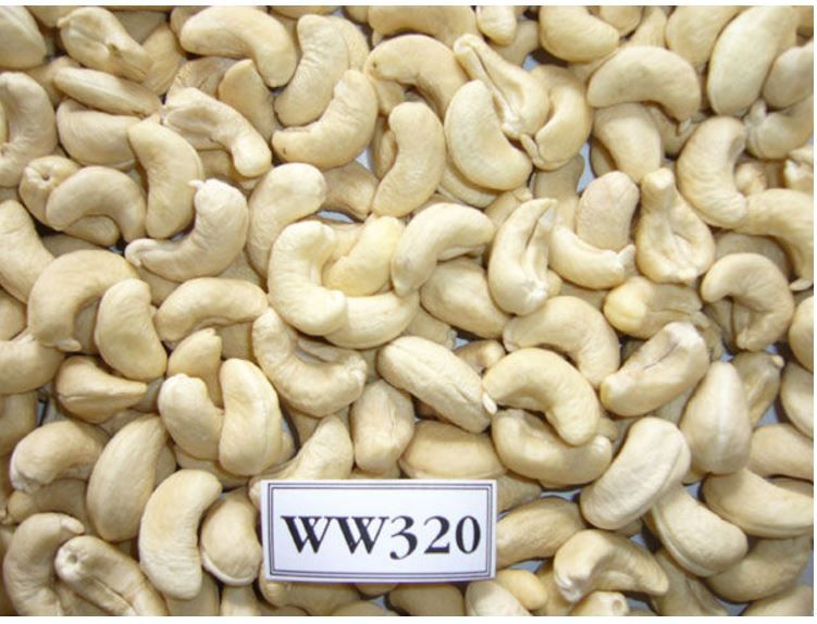 Cashew Nuts ww320 for sale