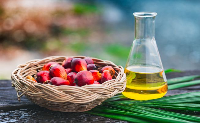 RBD Palm Oil for export — wholesale rbd palm oil supplied by Gloogal Market