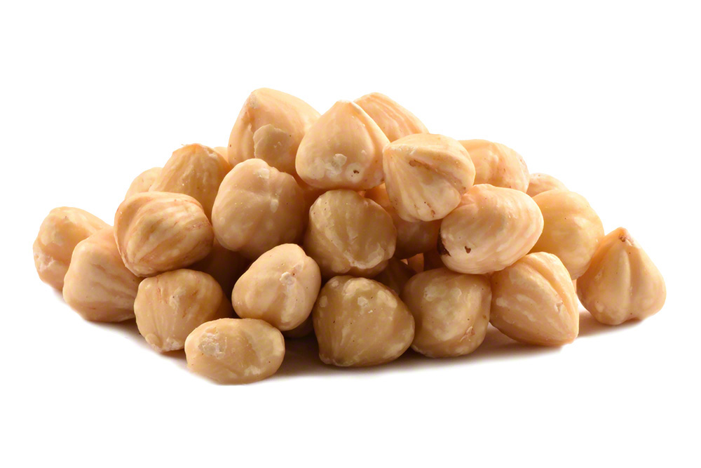 Hazelnuts (Filberts) for export — wholesale hazelnuts (filberts) supplied by Gloogal Market