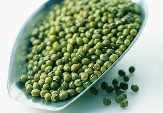 Green Mung Beans for export — wholesale green mung beans supplied by Gloogal Market Green Mung Beans for export — wholesale green mung beans supplied by Gloogal Market