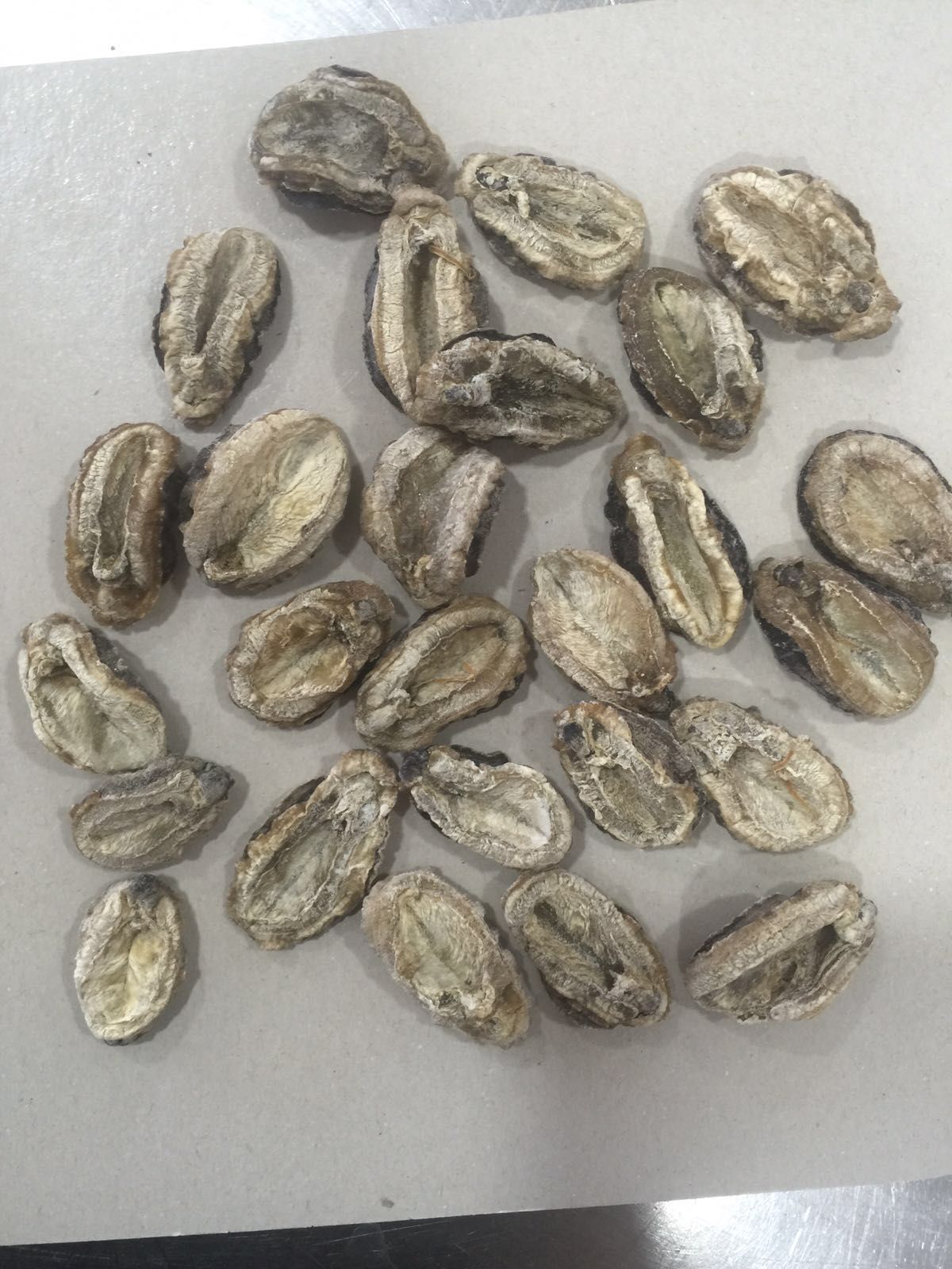 Buy Dried Sea Limpets, Dried Abalone For Sale,Dried Fish Maw, Shark Fins: Dried Abalone