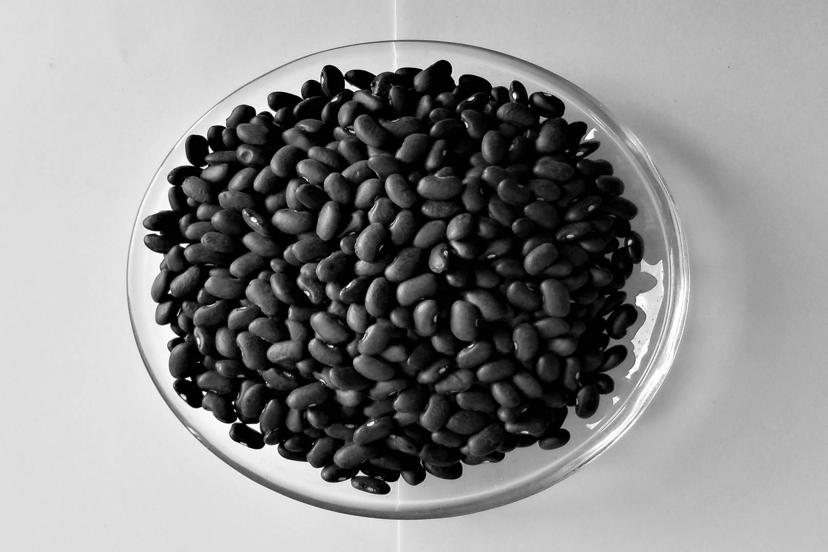 Black Kidney Beans for export — wholesale black kidney beans supplied by Gloogal Market Black Kidney Beans for export — wholesale black kidney beans supplied by Gloogal Market
