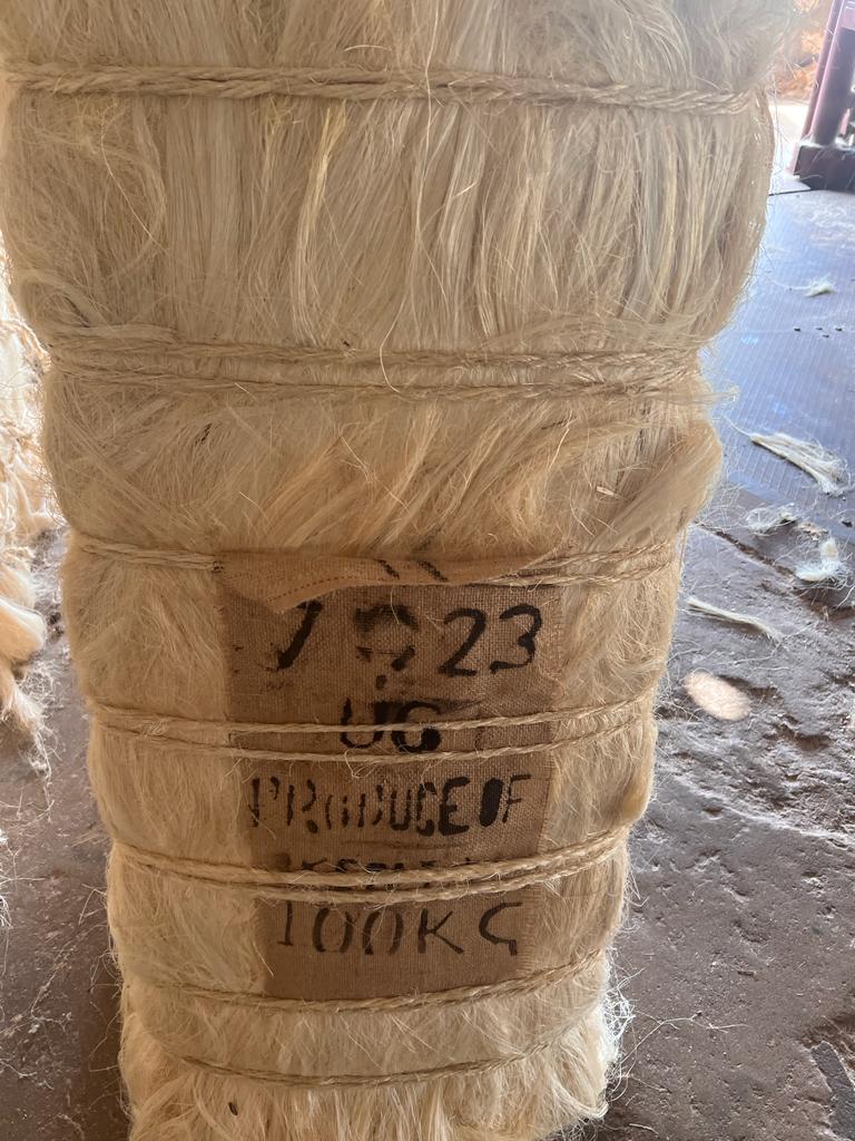 Sisal fiber bale wrapped and labeled for export Sisal fiber bale wrapped and labeled for export