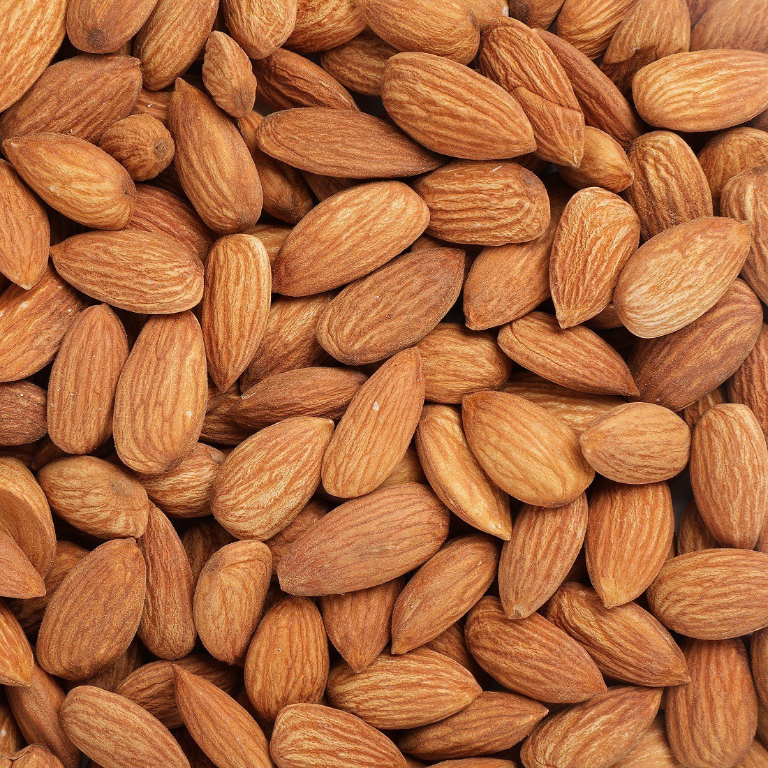 Almond Nuts for export — wholesale almond nuts supplied by Gloogal Market