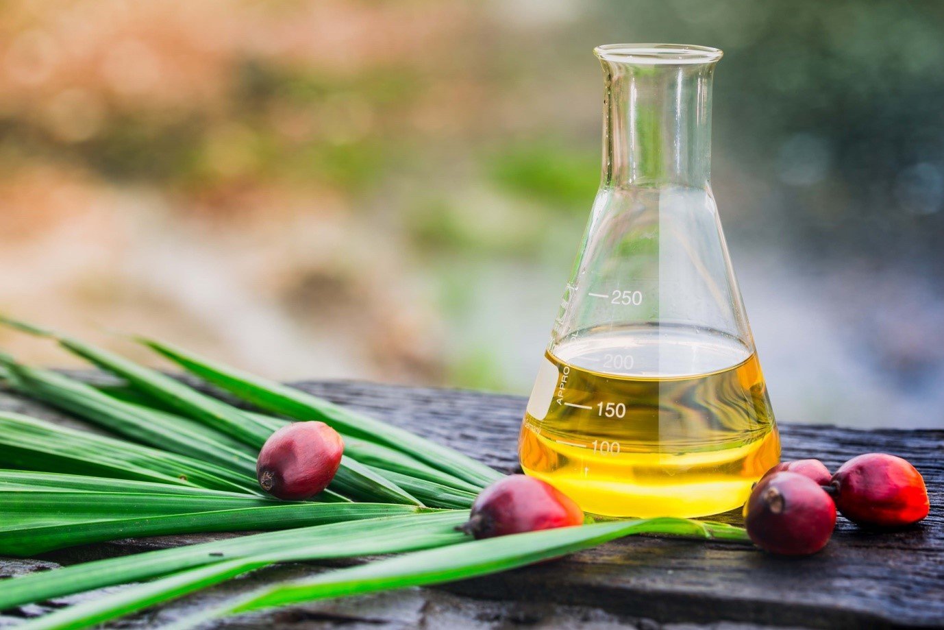 Crude Palm Kernel Oil (CPKO) for export — wholesale crude palm kernel oil (cpko) supplied by Gloogal Market