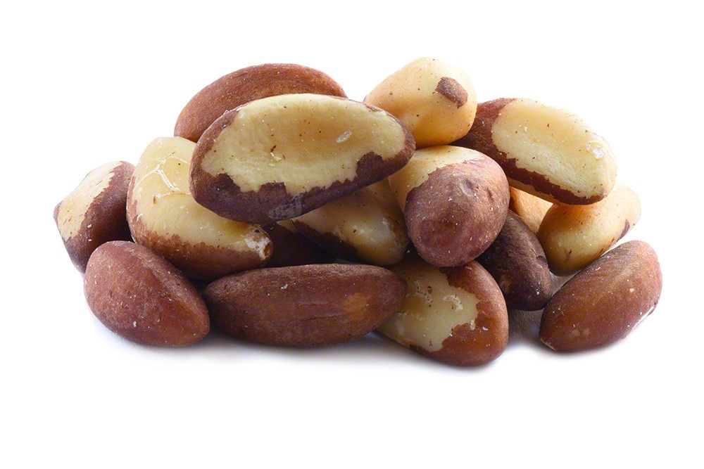 Brazil Nuts for export — wholesale brazil nuts supplied by Gloogal Market