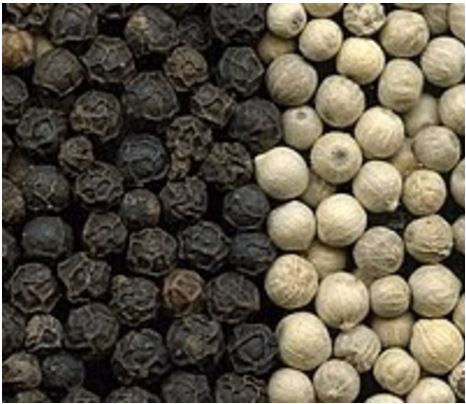 Black And White Pepper For Sale: Black and White Papper for Sale in Kenya