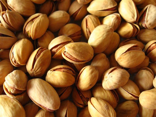 Pistachio Nuts for export — wholesale pistachio nuts supplied by Gloogal Market