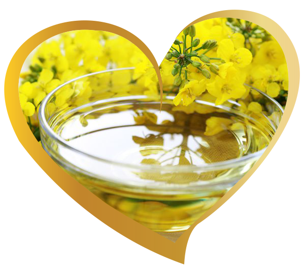 Refined Canola Oil for export — wholesale refined canola oil supplied by Gloogal Market