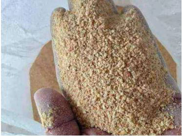 Hand holding coarse golden soybean meal for animal feed