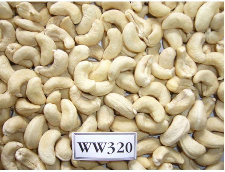 Cashew Nuts ww320 for sale