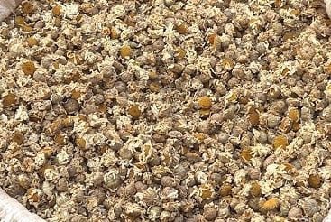 Dried Pyrethrum Flower for sale in Kenya