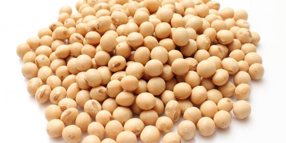 50kg bags of non-GMO soybeans for export